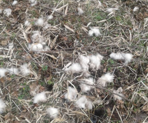Rolnicy. Podlasie. Tragedia u jednego z bohaterów. Fani są w szoku [ZDJĘCIA]