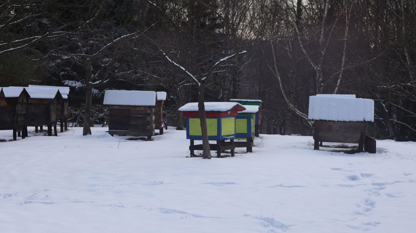 Cicho i wszędzie biało. Tak prezentuje się skansen w Lublinie w zimowej odsłonie! [GALERIA]