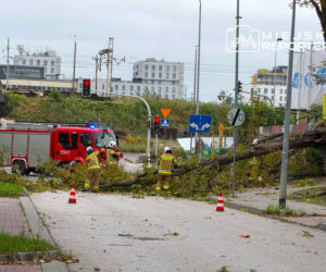 Potworne skutki wichury w Warszawie