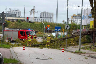 Potworne skutki wichury w Warszawie