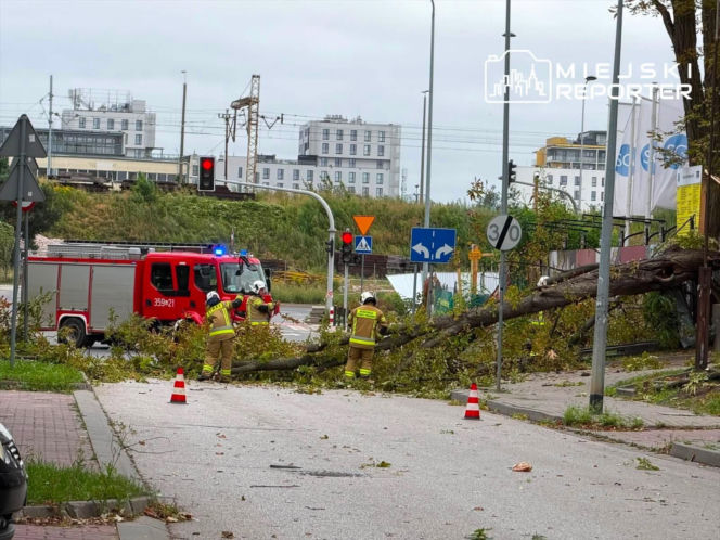 Potworne skutki wichury w Warszawie