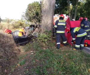 Tragiczny wypadek pod Bydgoszczą. Kierowca zginął na miejscu! [ZDJĘCIA]