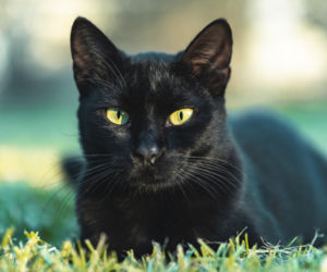 Tego pod żadnym pozorem nie rób w piątek trzynastego. Pech gwarantowany!