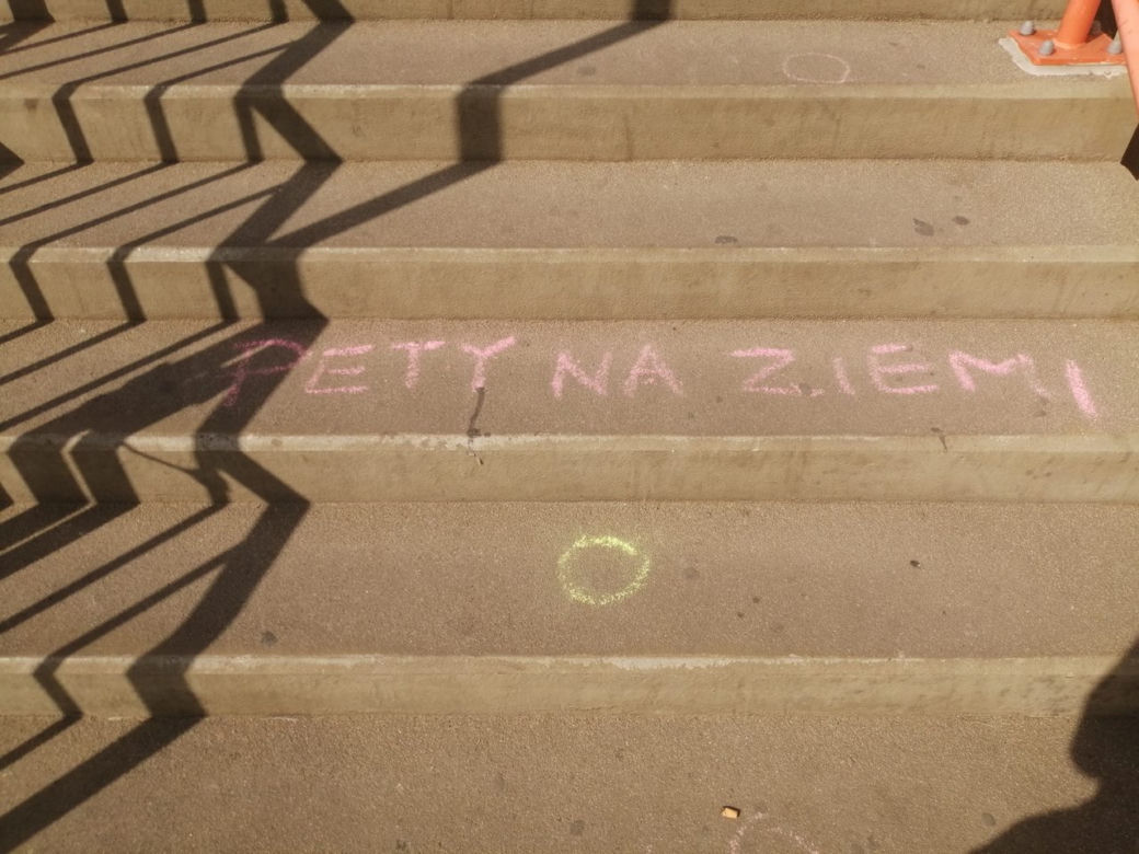 Akcja "Pety na ziemi" w Poznaniu