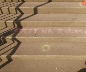 Akcja Pety na ziemi w Poznaniu