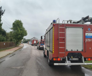 Powiat węgrowski: W miejscowości Trawy kierowca osobówki uderzył w łosia
