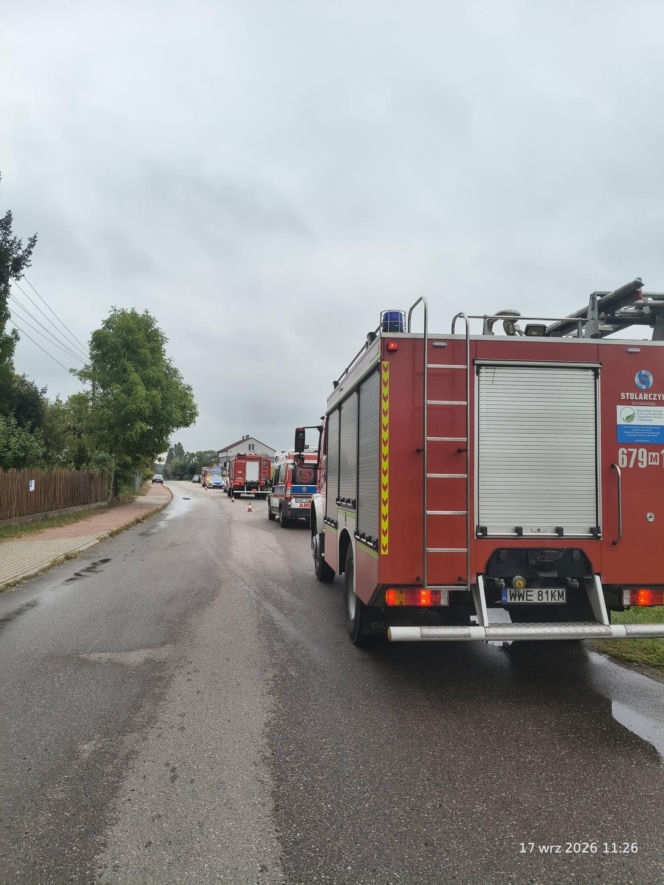 Powiat węgrowski: W miejscowości Trawy kierowca osobówki uderzył w łosia