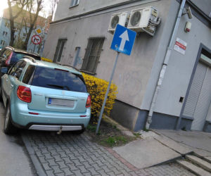 Blokują chodniki i ulice. Stają na przystankach i ścieżkach rowerowych. Oto Mistrzowie Parkowania z Gliwic [ZDJĘCIA]