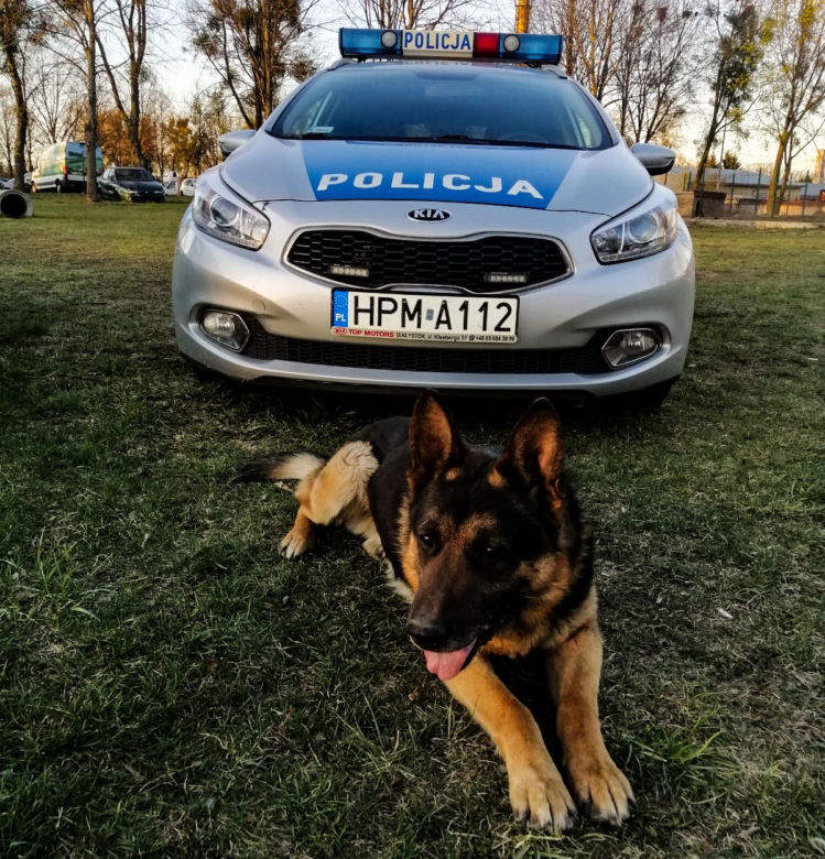 Trop zawiódł go na wysłużoną emeryturę. Cezar odchodzi z policji