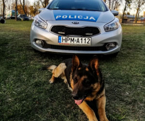Trop zawiódł go na wysłużoną emeryturę. Cezar odchodzi z policji