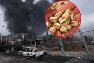 Zielone złoto drożeje! Pistacje najdroższe od lat przez wojnę i TikToka