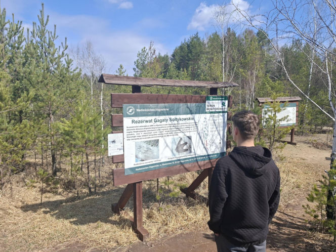 Gagaty Sołtykowskie. Największe ślady dinozaurów w Polsce