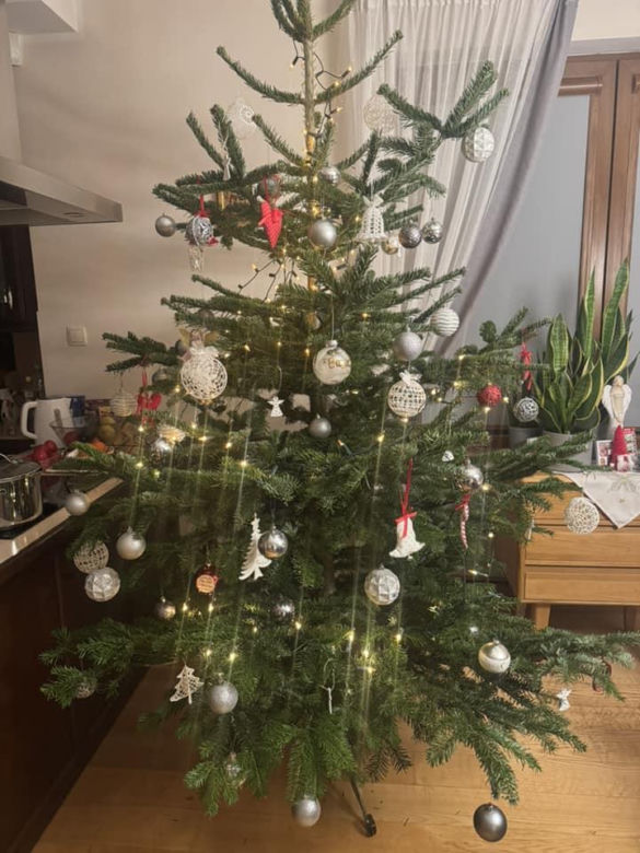 Żywe i sztuczne. Nasi Czytelnicy pochwalili się swoimi choinkami. Zobacz zdjęcia!