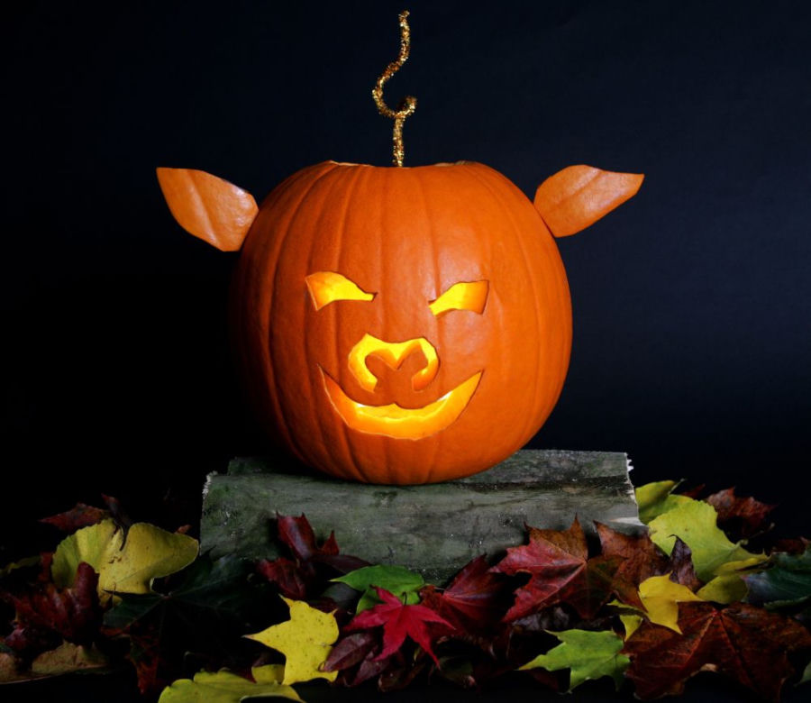 dynia na halloween