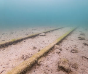 Podwodny świat Balatonu w Trzebini