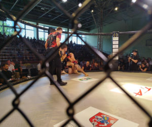 Fotorelacja z Gali Sportów Walki Taurus Fight Arena 2026 w Siedlcach