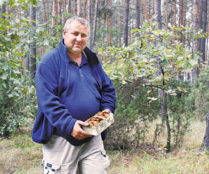 W weekend ruszaj na grzybobranie