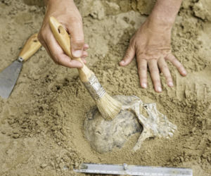 Rzadkie choroby u Polaków sprzed tysiąca lat. Naukowcy przeanalizowali średniowieczne szczątki
