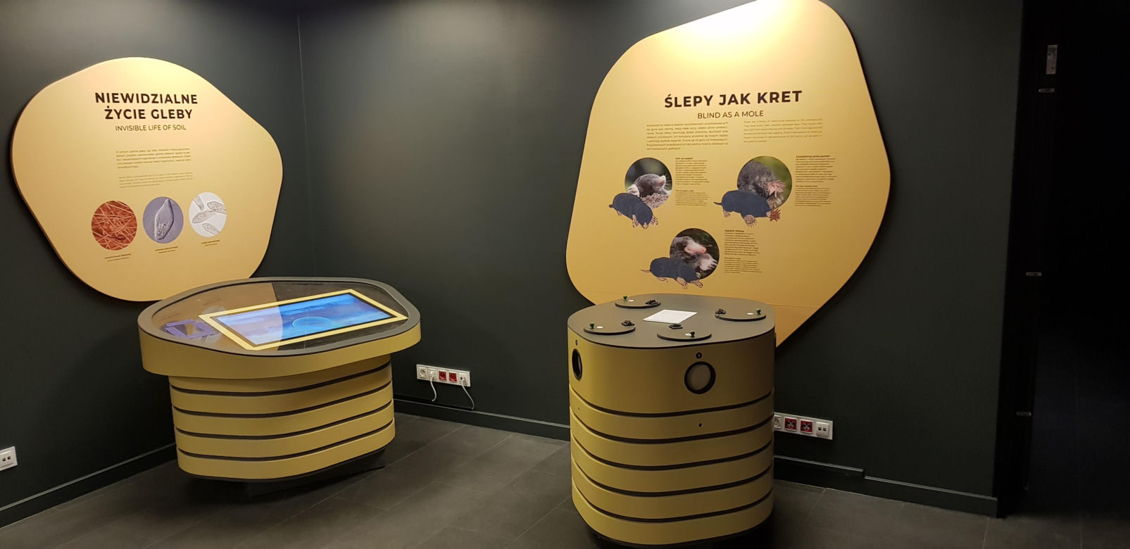 Otwarcie Centrum Nauki Kortosfera w Olsztynie. Bilety już dostępne! Ile kosztują?