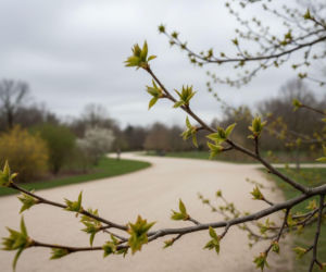 Pogoda na weekend w Lublinie 1-3 maja. Po chłodnym piątku nadejdzie wyraźne ocieplenie