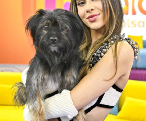 Tak wyglądają naturalne włosy Blanki. Nie do wiary, jak prezentuje się w naturalnym wydaniu!