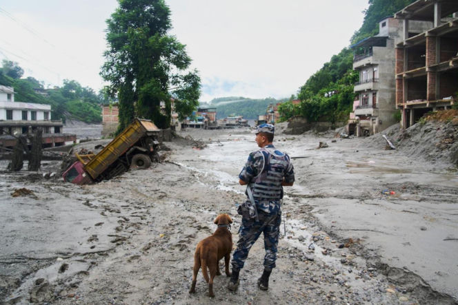 Horror w Nepalu. Odnaleziono zwłoki 270 osób. 1300 zaginionych!