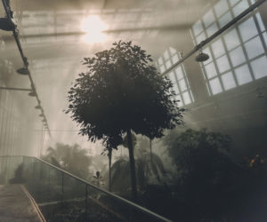 Egzotarium w Sosnowcu