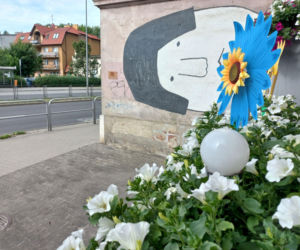 Kolorowy tarasik przy głównej ulicy w Lesznie. Pan Józef kocha surfinie!