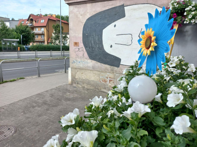 Kolorowy tarasik przy głównej ulicy w Lesznie. Pan Józef kocha surfinie!