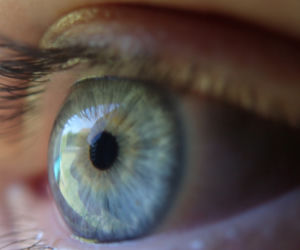 Już niedługo specjalistyczny mikroskop trafi do Charkowa. Zakończyła się zbiórka pieniędzy