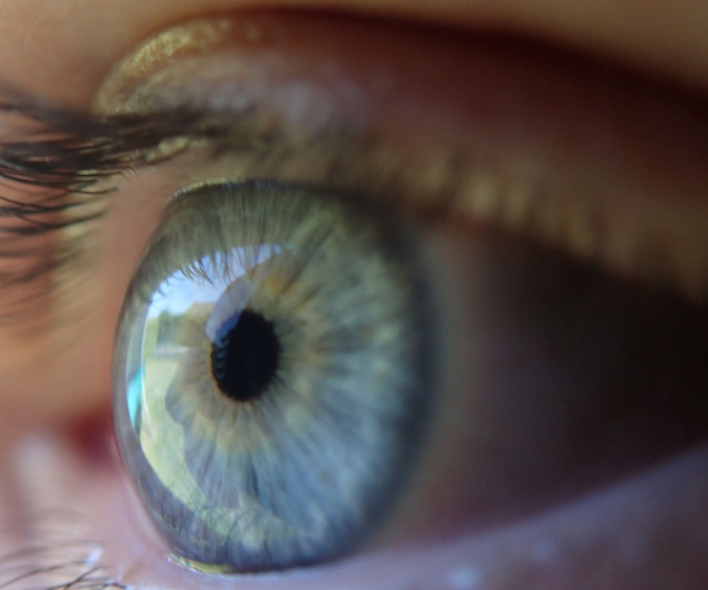 Już niedługo specjalistyczny mikroskop trafi do Charkowa. Zakończyła się zbiórka pieniędzy