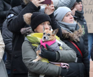Oni mówią głosem zwierząt! Tak wygladał marsz w obronie zwierząt z Toruńskiego Schroniska [GALERIA, AUDIO]