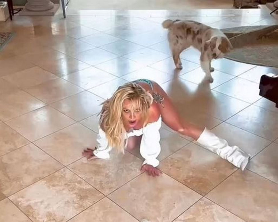 Britney Spears chwali się, że utyła. "Przynajmniej mam tyłek". Wije się po podłodze i tańczy z psami