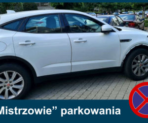 Mistrzowie parkowania. Tak kierowcy parkują w Warszawie