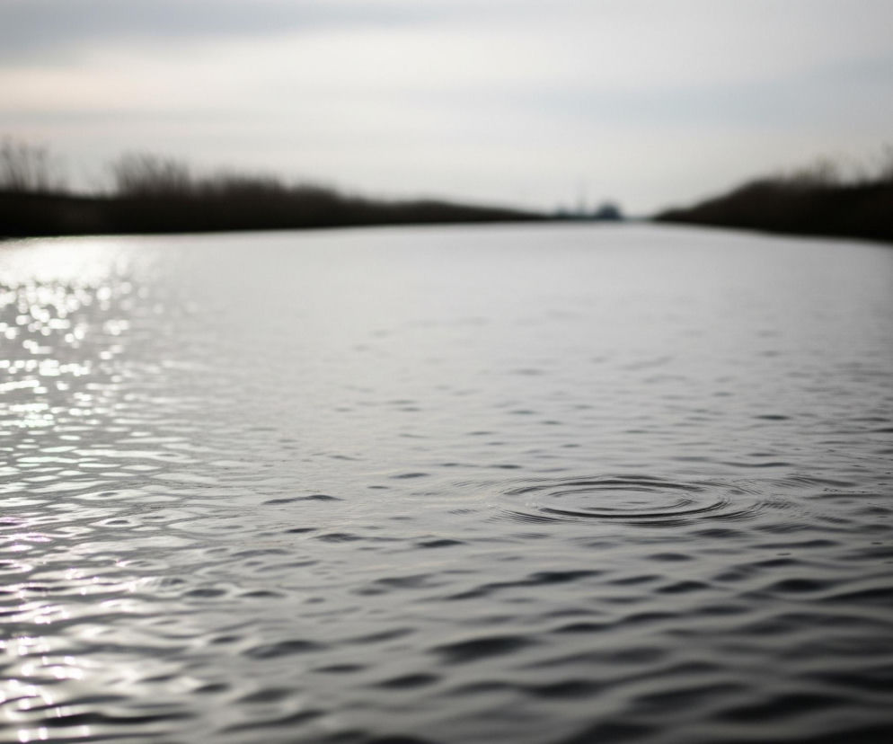Na pierwszym planie znajduje się powierzchnia wody, na której wyraźnie widoczne są koncentryczne kręgi fal, rozchodzące się od centralnego punktu w prawym środku kadru. Woda jest ciemnoszara, z licznymi jasnymi refleksami światła po lewej stronie, tworzącymi rozmyte, błyszczące plamki. Po obu stronach rzeki, w tle, widoczne są ciemne sylwetki wysokich roślin, prawdopodobnie trzcin, w oddali rozmywa się horyzont z jasnym, zachmurzonym niebem.