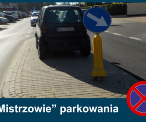 Mistrzowie Parkowania: Zobacz najbardziej kuriozalne pomysły kierowców