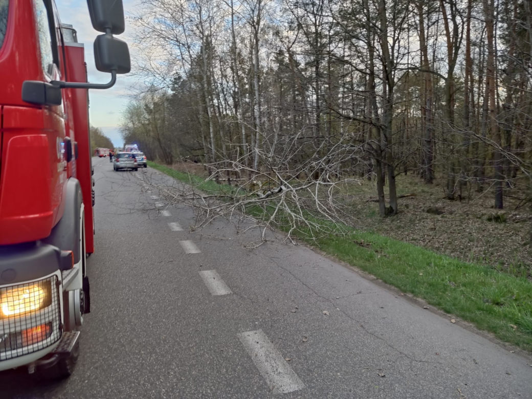 Wyszków. Przerażający widok! Motocykl rozerwany na części i złamane drzewo. Śmigłowiec zabrał kierowcę (ZDJĘCIA]