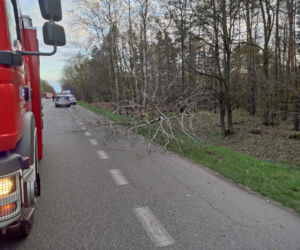 Wyszków. Przerażający widok! Motocykl rozerwany na części i złamane drzewo. Śmigłowiec zabrał kierowcę (ZDJĘCIA]