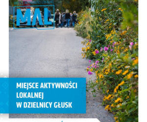 Fundacja „5Medium” poprowadzi MAL w dzielnicy Głusk 