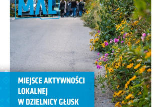 Fundacja „5Medium” poprowadzi MAL w dzielnicy Głusk 