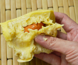 Durian - najbardziej śmierdzący owoc świata