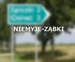 Niemyje-Ząbki