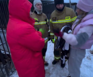 Koniec heroizmu Dody? Artystka mówi dość po dramatycznych wizytach w schroniskach
