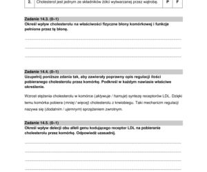 Matura 2022: biologia rozszerzona. Arkusze CKE, zadania, pytania. Poziom rozszerzony