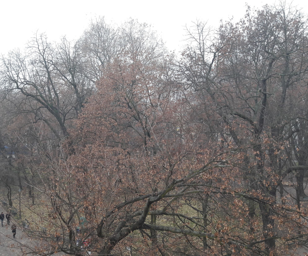Smog da się dziś we znaki mieszkańcom Małopolski