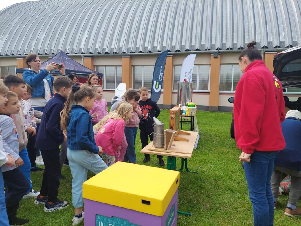 4. Miejskie Miodobranie w Zamościu