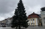 Wielki choinka stanęła na Rynku Kościuszki