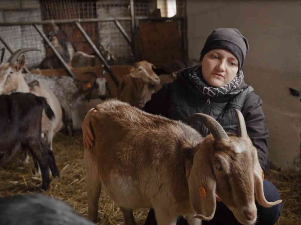 Rolnicy Podlasie. Dramat Emilii Korolczuk. Rolniczka w ciąży nękana