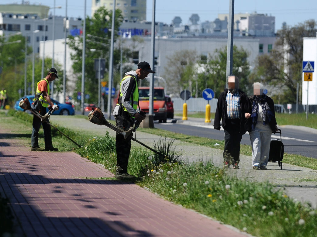 Warszawa wraca do koszenia trawników. Wielka akcja w Warszawie