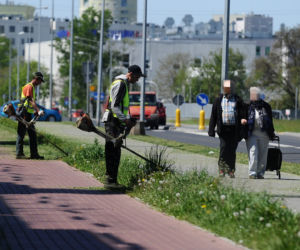 Warszawa wraca do koszenia trawników. Wielka akcja w Warszawie